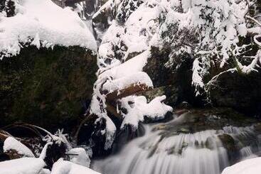 בית מלון כפרי Pension Klein
