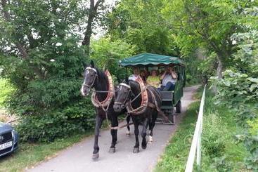 هتل Grober S Reiterhof