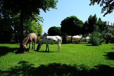 Locanda Dell Asino D Oro