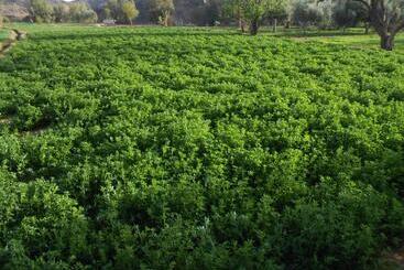 بنسيون Gite D Etape Sidi Flah