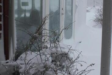 ペンション The Guesthouse By The Fjord