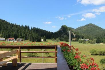 ペンション Penzión ľadová