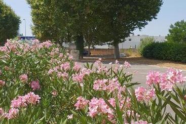 هتل Brit  Du Moulin De La Pioline  La Table A Fromages