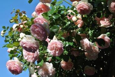 ホテル Le Relais Des Chartreuses