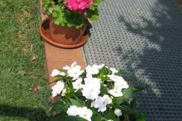 בית מלון כפרי B&b Villa Patrizia