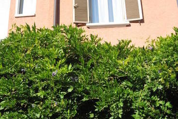 هتل B&b La Villetta