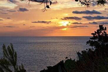 בית מלון כפרי Le Ginestre Di Capri Bb & Holiday House