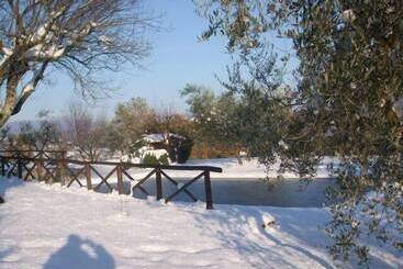 فندق Poggio Agli Ulivi