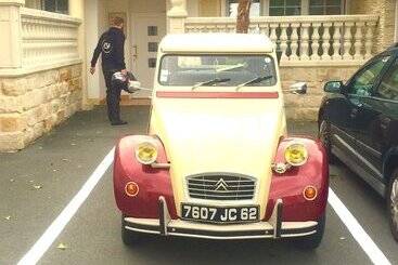 호텔 Wilsmann Apartmentvermietung