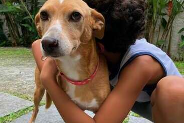 בית מלון כפרי Pousada Manaca