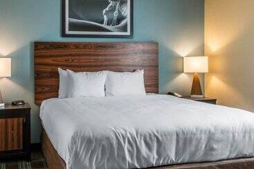 酒店 Mainstay Suites Cotulla