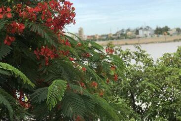 בית מלון כפרי River Star