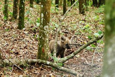 هتل Unique Garden
