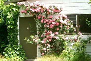 Aultmore Hollow Bed & Breakfast