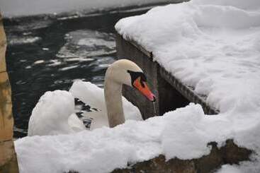 ホテル Gondelfahrt