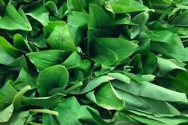 Отель Restaurant Peifer