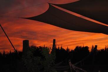 Weingut & Landhotel Can Davero