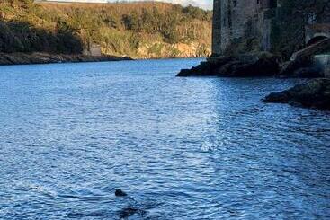 هتل Anzac Street B+bistro