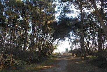 호텔 Residence Villa Marina