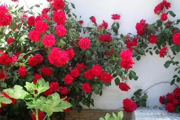 Отель Río Piscina