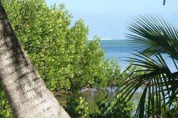 住宿加早餐 Moorea Surf Inn