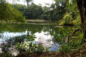 هتل Rainforest Eco Lodge