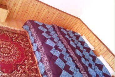 بنسيون Tih Ladakh View Home Stay