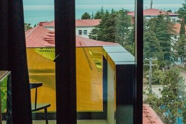 Graphic Hotel Batumi
