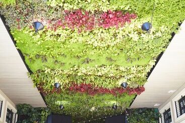 Wittmore Hotel   Adults Only