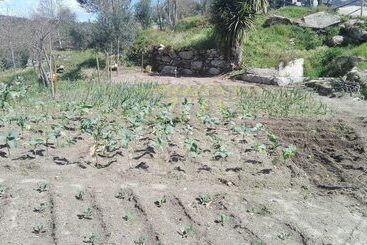 Сельский дом I Love Dao Casas Da Fraga