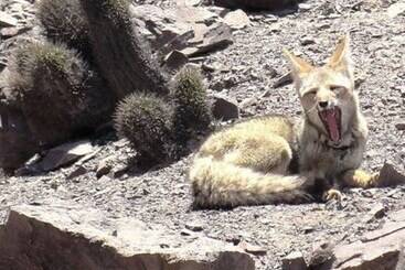 فندق فئة نجمة واحدة Pircas De Arboleda
