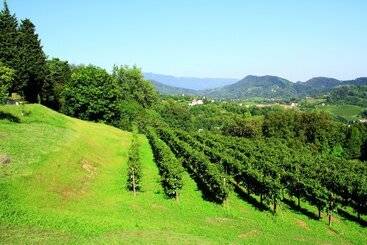 펜션 Ville D Arfanta