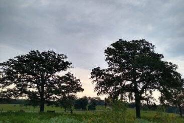 호텔 Country Dome Suites