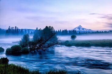 بيت ريفى House On Metolius