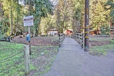 Quiet Cottage W/ Redwood Forest Views & Deck!