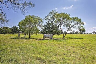 별장 Texas Countryside Retreat On 130 Acres!
