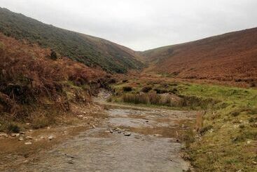 קוטג'' Relaxing Holidays In The Old Water Mill At Cwmiar