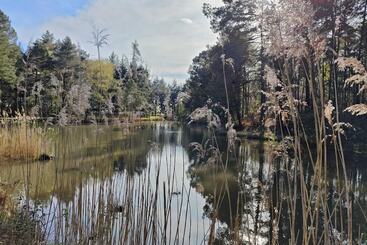 בית מלון כפרי Sublimes Hébergements En Coeur De Forêt
