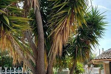 דירת נופש A Flower House In Corfu Close To Beach And Town