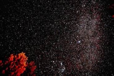 منتجع Lake Ruataniwha Holiday Park