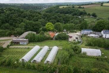 בית מלון כפרי Ceridwen Glamping, Double Decker Bus And Yurts