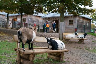 호텔 Hochsauerland By Center Parcs