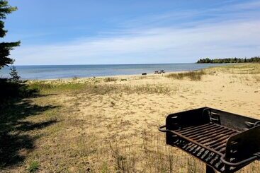 Мотель Gray Wolf Lodge
