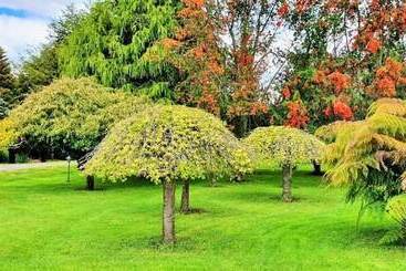 کلبه Y Cabañas Molino Viejo