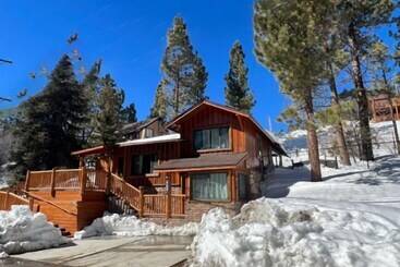 קוטג'' Louie Bear