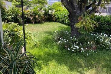 بنسيون Eco Shared Gardenian