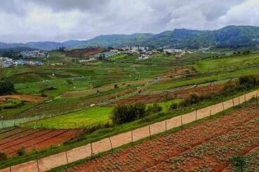 住宿加早餐 Britiish County Ooty