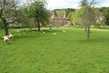 פונדק The Red Lion