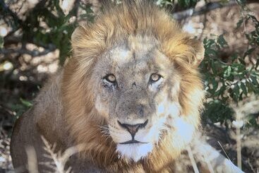 酒店 Kambaku River Lodge