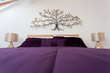 Luxurious Serviced Apartments